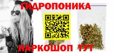 кокс Бийск