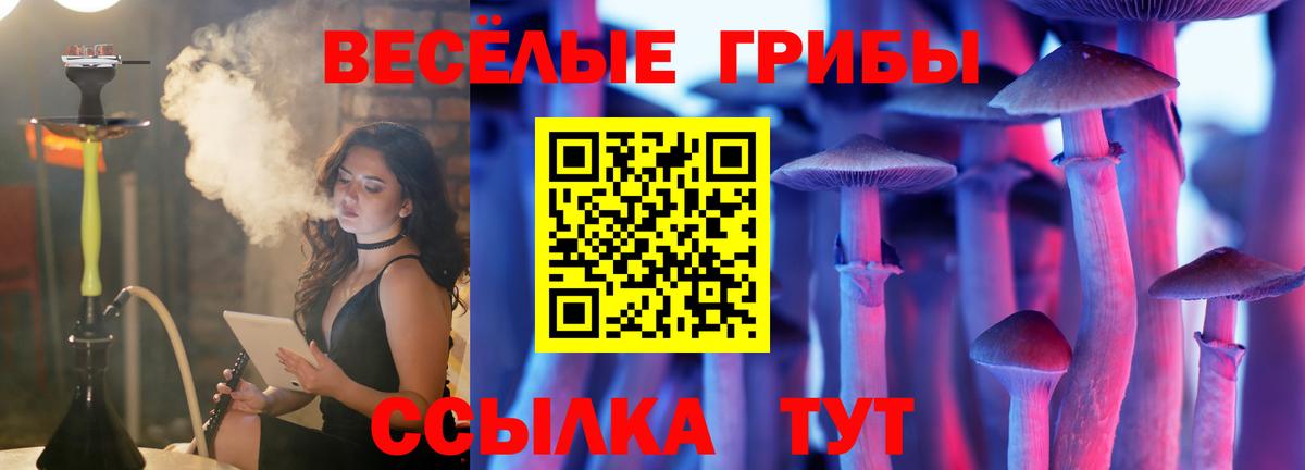 Псилоцибиновые грибы Psilocybine cubensis  Вход с VPN  где купить   Кимовск  Псилоцибиновые грибы мухоморы 